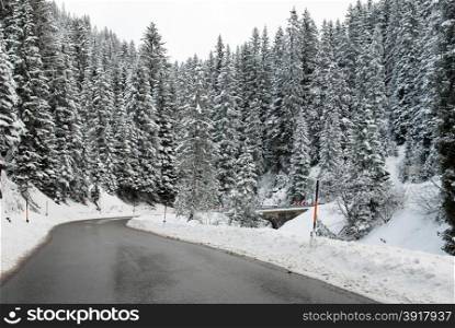 An alpine road through a forest in Austria