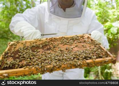 an apiarist is harvesting honey