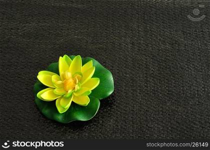 An artificial water Lilly isolated on a black background