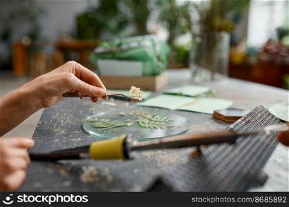 An artist making creative floral composition at craft workspace. Closeup view. An artist making creative floral composition