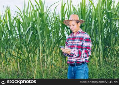 An Asian farmer in a plaid shirt stands in a field.