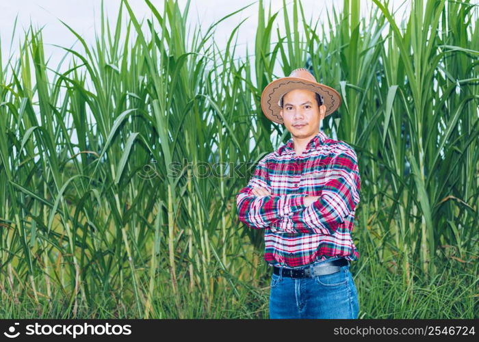 An Asian farmer in a plaid shirt stands in a field.