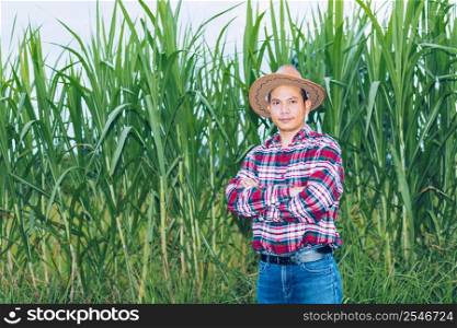 An Asian farmer in a plaid shirt stands in a field.