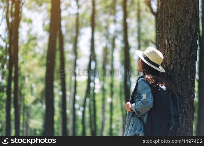 An asian female traveler with a hat and backpack looking into a beautiful pine woods