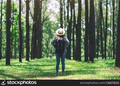 An asian female traveler with a hat and backpack standing back and looking into a beautiful pine woods