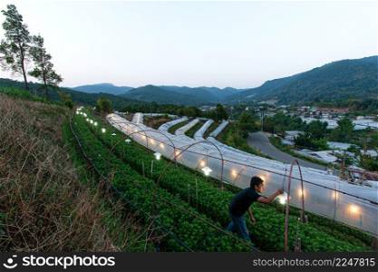 An Asian man gardener turns on the lights in his flowers and vegetable greenhouse in a valley at dusk. Chiang Mai, Thailand. Agriculture, industry concepts. Focus on a gardener.