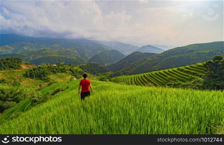 An Asian tourist man watching at paddy rice terraces, agricultural fields in countryside of Mu Cang Chai, Yen Bai, mountain hills valley on summer in travel trip and holidays vacation concept, Vietnam