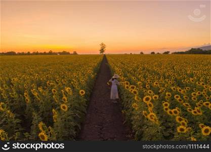 An Asian woman enjoying and relaxing in a full bloom sunflower field with road corridor during travel holidays vacation trip outdoors at natural garden park at sunset in Lopburi, Thailand. Lifestyle.