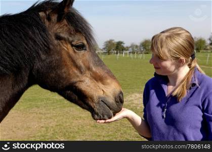An attractive blonde girl feeding treats to her horse
