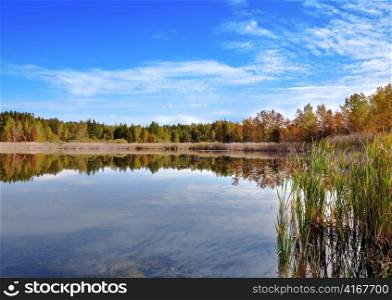 an autumn colorful forest by the small lake