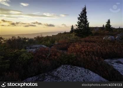 An Autumn sunrise at the Bear Rocks Preserve in the Dolly Sods Wilderness of West Virginia.