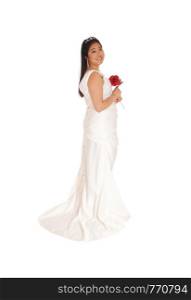 An beautiful Chinese bride, holding a red rose, standing in a white wedding dress in profile isolated for white background