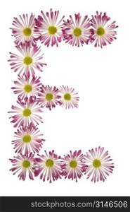 An E Made Of Pink And White Daisies