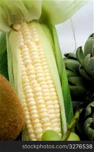 An ear of corn with the husk partially pealed back showing the kernels inside.. White Sweet Corn