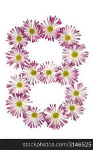 An Eight Made Of Pink And White Daisies