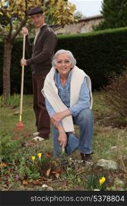 An elderly couple gardening