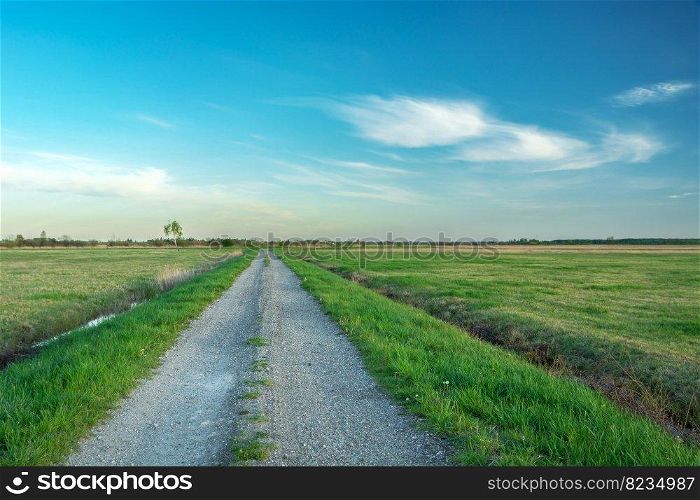 An empty and straight gravel road through green meadows, spring day