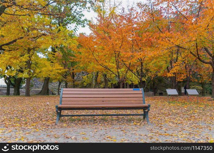 An empty bench or chair with red maple leaves or fall foliage with branches in colorful autumn season in Kyoto City, Kansai. Trees in Japan. Nature landscape background.