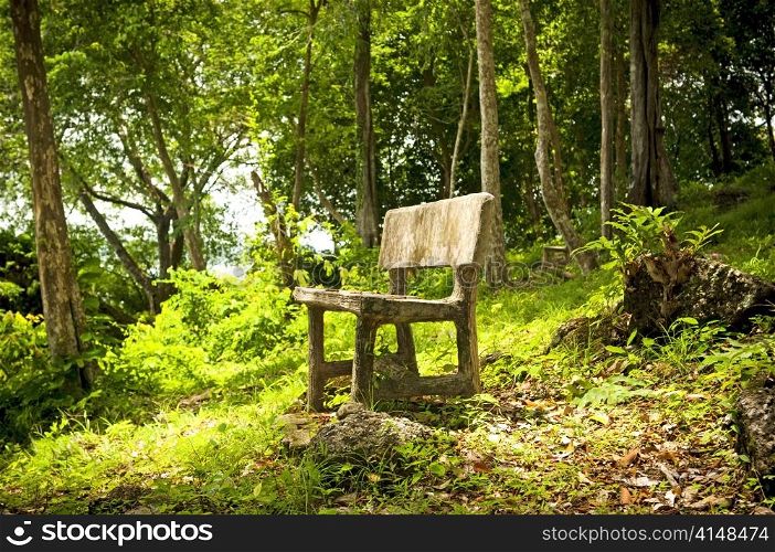 An empty seat in a fantasy forest