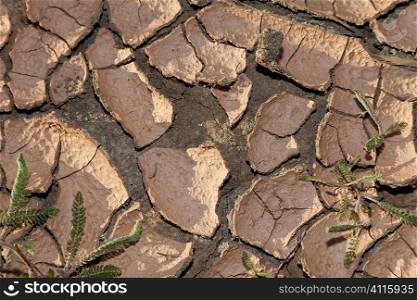 An environmental climate change concept shot of cracked dry earth.