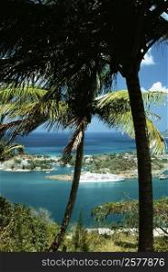 An exotic seascape, St. Lucia