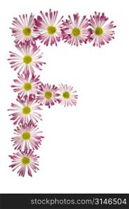 An F Made Of Pink And White Daisies