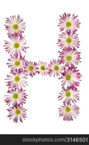 An H Made Of Pink And White Daisies