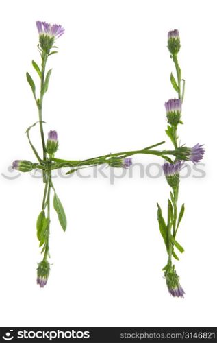 An H Made Of Purple Flowers