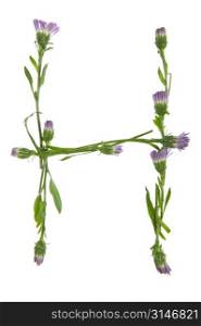 An H Made Of Purple Flowers