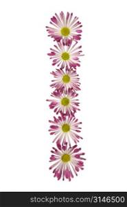 An I Made Of Pink And White Daisies