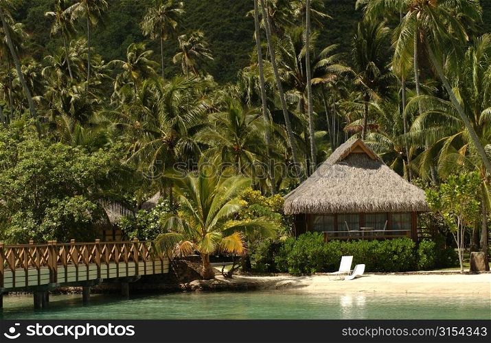 An idyllic beach, Moorea, Tahiti, French Polynesia, South Pacific