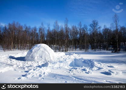 An igloo in a winter landscape