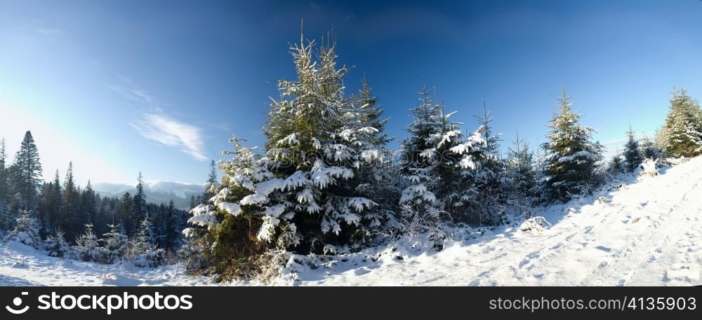 An image of a beautiful bright winter
