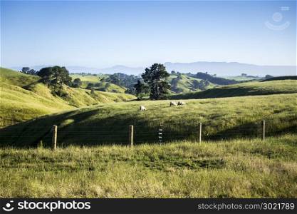 An image of a beautiful landscape near Matamata New Zealand