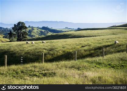 An image of a beautiful landscape near Matamata New Zealand