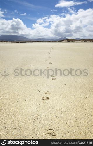 An image of a beautiful sand beach with footprints at Donegal Ireland