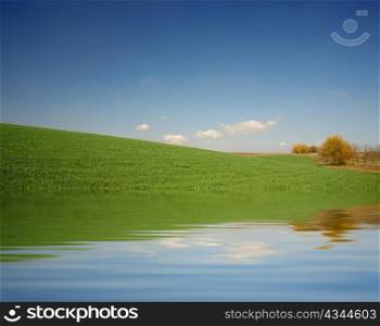 An image of a green meadow and blue sky