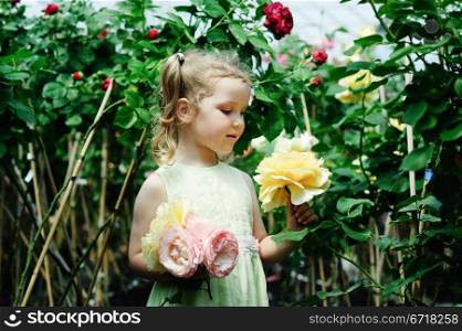 An image of a little girl in a greenhouse