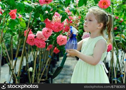 An image of a little girl watering flowers in a greenhouse