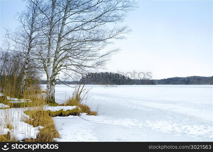 An image of a winter scenery at the Osterseen in Bavaria Germany