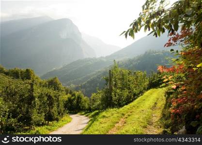 An image of beautiful nature of the mountains