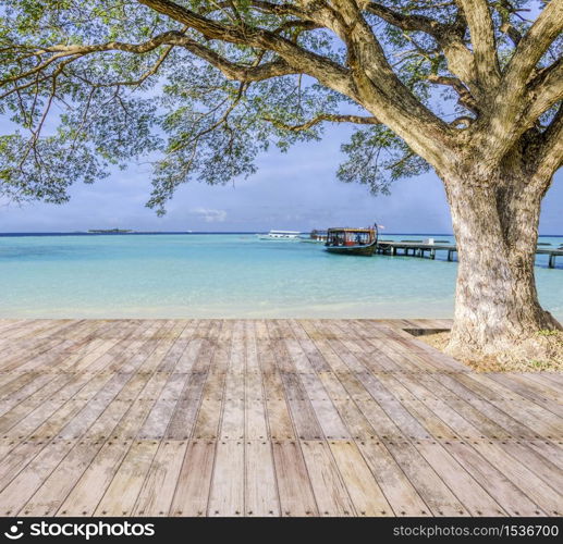 An image of big tree loacted on timber deck in front of the beach