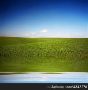 An image of blue sky and green field