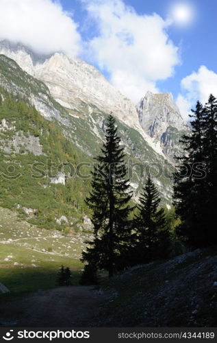 An image of italian mountains and fir-trees