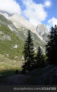 An image of italian mountains and fir-trees