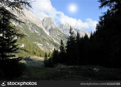 An image of light mountains and shady forest
