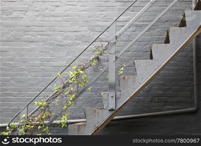 An image of nice old stairs in Sydney Australia