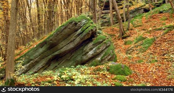 AN image of old stone in forest
