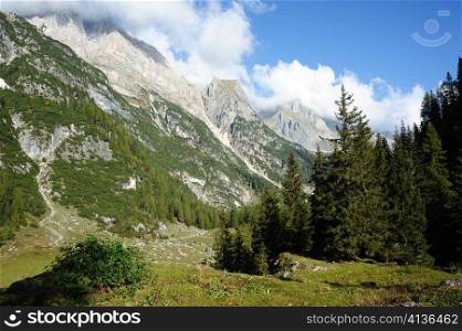 An image of rocky mountains and green forest