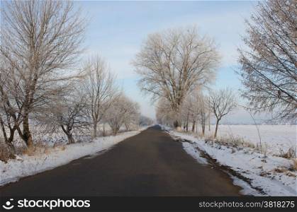 An image of rural winter view